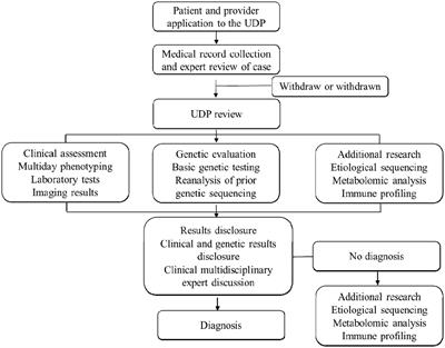 Accelerating rare disease detection: an experience of multidisciplinary team model in undiagnosed diseases program in a children’s hospital
